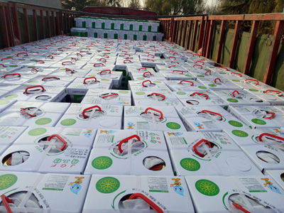 裝車發(fā)貨現(xiàn)場